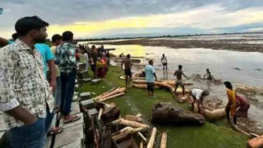পাহাড়ি ঢলে ভারত থেকে ভেসে আসছে গাছের গুঁড়ি
