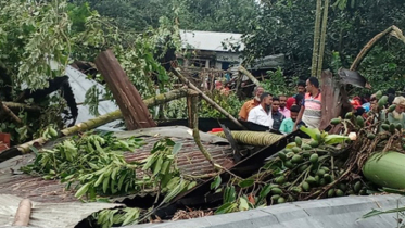 নীলফামারীতে ঝড়ে তছনছ ৫ শতাধিক ঘরবাড়ি 