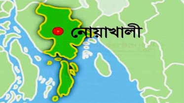 নোয়াখালীতে দগ্ধ ভাইয়ের পর বোনের মৃত্যু