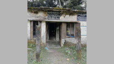 ঝালকাঠির কমিউনিটি ক্লিনিকে একসঙ্গে ৭ সাপ