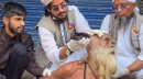চুল-দাড়ি কেটে হেনস্তার মামলায় গ্রেপ্তার ১