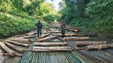 খাগড়াছড়ির দুর্গম লক্ষীছড়িতে ১ কোটি ২০ লাখ টাকার অবৈধ কাঠ জব্দ
