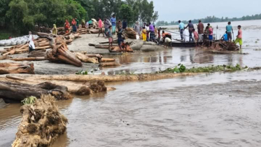 কালজানি নদীতে ভেসে আসছে হাজার হাজার গাছের গুড়ি 