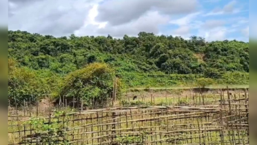 কেঁপে উঠলো চেরার মাঠ, আতঙ্কে স্থানীয়রা