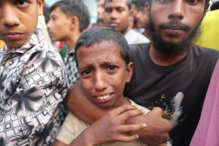 মিরপুরে অগ্নিকাণ্ডে নিহত বেড়ে ১৬ 