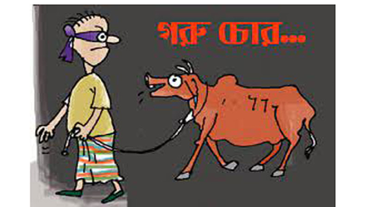 গরু চোর ধরতে গিয়ে পিকআপভ্যানের চাপায় শ্রমিকদল নেতা নিহত