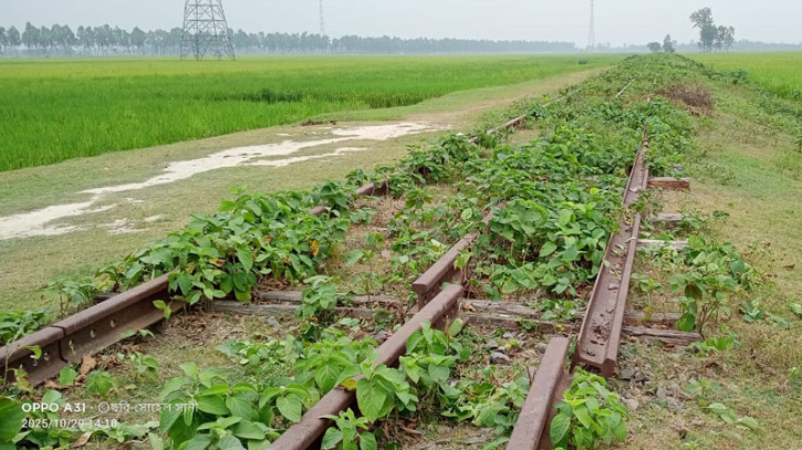 ভবানীপুর-মধ্যপাড়া রেলপথে চুরির মচ্ছব ভবানীপুর-মধ্যপাড়া রেলপথে চুরির মচ্ছব