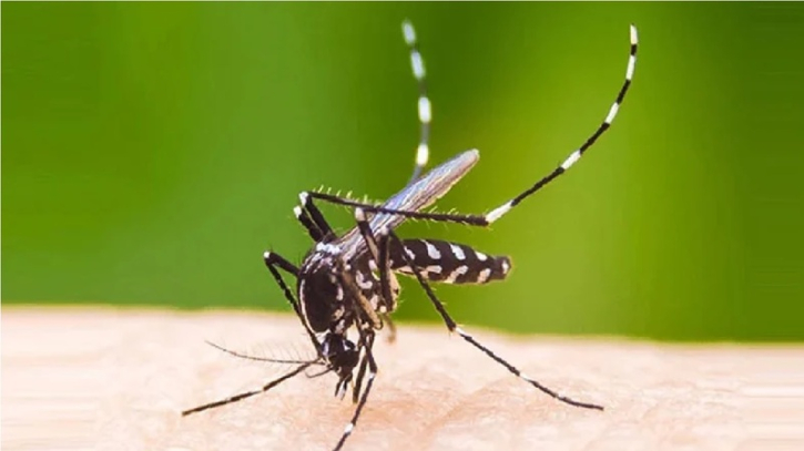 ডেঙ্গুতে আরও ৫ মৃত্যু, ভর্তি ৯৫৩ জন