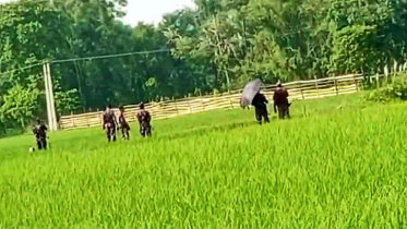 সীমান্তে বেড়া বিএসএফের, বিজিবির প্রতিবাদ