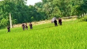 সীমান্তে বেড়া বিএসএফের, বিজিবির প্রতিবাদ
