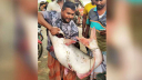 পদ্মার পাঙ্গাসে চমক!