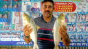 পদ্মার দুই ইলিশ সাড়ে ১৭ হাজারে বিক্রি