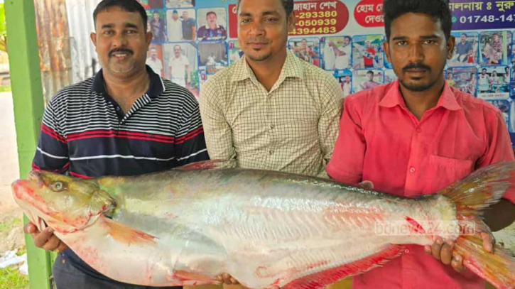  দাম ৪৪ হাজার টাকা!